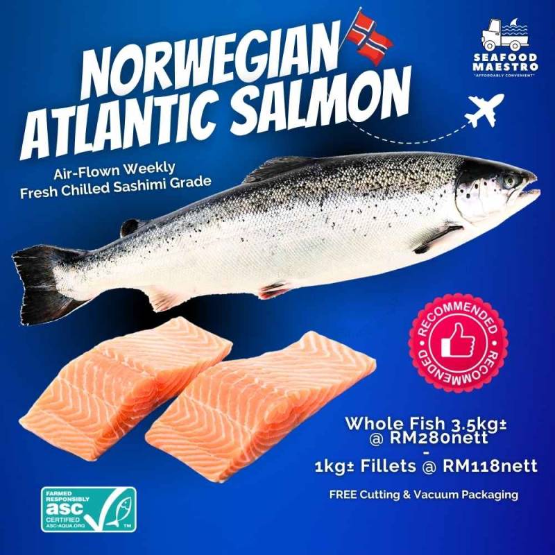 <a> Fresh Chilled Norwegian Atlantic Salmon - Sashimi Grade